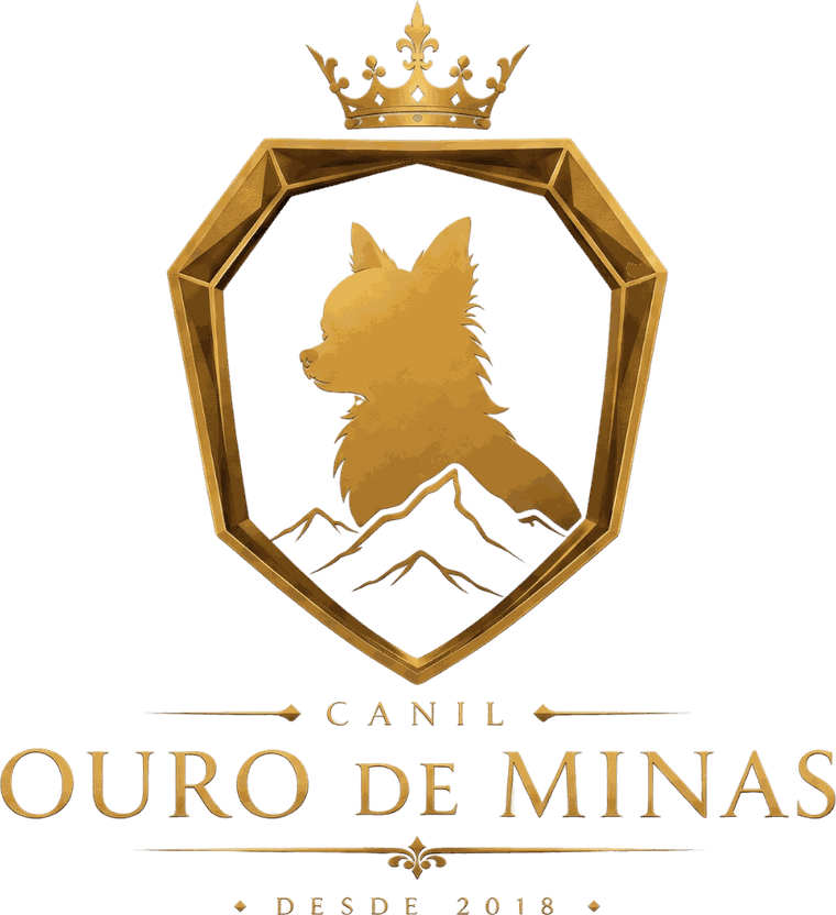 Canil Ouro de Minas — desde 2018
